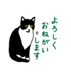 白黒ハチワレ猫のこっぺ（個別スタンプ：12）