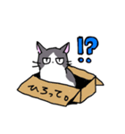 ねこねこにゃんの日常2（個別スタンプ：10）