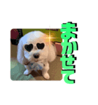 幸之助 と 心次郎 のスタンプ（個別スタンプ：4）
