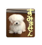 幸之助 と 心次郎 のスタンプ（個別スタンプ：7）