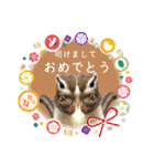 羊毛フェルトの動物のクリスマスとお正月2（個別スタンプ：2）