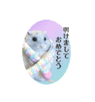 羊毛フェルトの動物のクリスマスとお正月2（個別スタンプ：7）