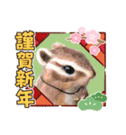 羊毛フェルトの動物のクリスマスとお正月2（個別スタンプ：10）