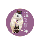 羊毛フェルトの動物のクリスマスとお正月2（個別スタンプ：12）