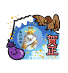 羊毛フェルトの動物のクリスマスとお正月2（個別スタンプ：14）