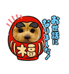 羊毛フェルトの動物のクリスマスとお正月2（個別スタンプ：17）