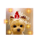 羊毛フェルトの動物のクリスマスとお正月2（個別スタンプ：21）