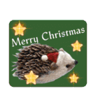 羊毛フェルトの動物のクリスマスとお正月2（個別スタンプ：24）