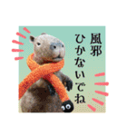 羊毛フェルトの動物のクリスマスとお正月2（個別スタンプ：28）