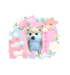 羊毛フェルトの動物のクリスマスとお正月2（個別スタンプ：30）