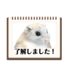 羊毛フェルトの動物のクリスマスとお正月2（個別スタンプ：32）