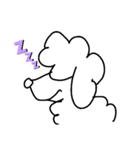 世界のトイプードル（個別スタンプ：7）