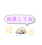 ぱるすたんぷ3！（個別スタンプ：22）