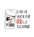 年末年始に意外と使える吹き出し付リアル猫（個別スタンプ：14）