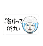 年末年始に意外と使える吹き出し付リアル猫（個別スタンプ：22）