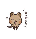 毎日クオッカ（個別スタンプ：7）