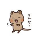 毎日クオッカ（個別スタンプ：10）