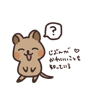 毎日クオッカ（個別スタンプ：13）