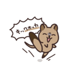 毎日クオッカ（個別スタンプ：15）
