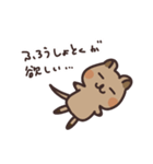 毎日クオッカ（個別スタンプ：17）