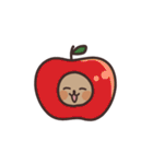 毎日クオッカ（個別スタンプ：26）