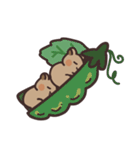 毎日クオッカ（個別スタンプ：27）