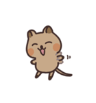 毎日クオッカ（個別スタンプ：31）