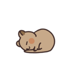 毎日クオッカ（個別スタンプ：33）