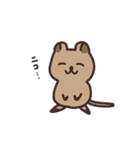 毎日クオッカ（個別スタンプ：34）