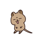 毎日クオッカ（個別スタンプ：35）