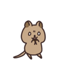 毎日クオッカ（個別スタンプ：36）