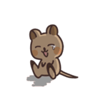 毎日クオッカ（個別スタンプ：39）