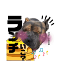 べーやん 時々、ねーちゃん（個別スタンプ：9）