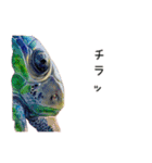 カメとトカゲの水彩画スタンプ（個別スタンプ：3）