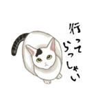 【毎日使える】かわいいねこスタンプ（個別スタンプ：20）