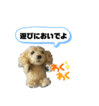 ふわふわワンコたち（個別スタンプ：3）