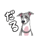 YASAGURE FAM（個別スタンプ：3）