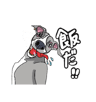 YASAGURE FAM（個別スタンプ：5）