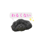 Toy poodle K vol.3（個別スタンプ：14）