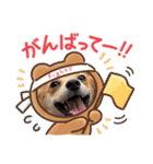 コーギー×チワワのかぼすくん(日常1)（個別スタンプ：18）
