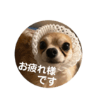 紋二郎と二葉 4（個別スタンプ：3）