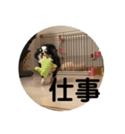 紋二郎と二葉 4（個別スタンプ：5）