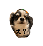 紋二郎と二葉 4（個別スタンプ：7）