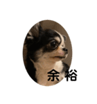 紋二郎と二葉 4（個別スタンプ：32）
