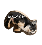紋二郎と二葉 4（個別スタンプ：33）