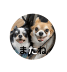 紋二郎と二葉 4（個別スタンプ：40）