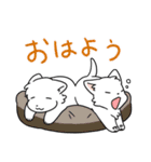 しろいぬ三姉妹（個別スタンプ：1）