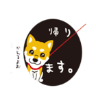 柴犬と一緒に（個別スタンプ：5）