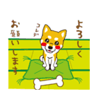 柴犬と一緒に（個別スタンプ：8）