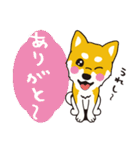 柴犬と一緒に（個別スタンプ：22）